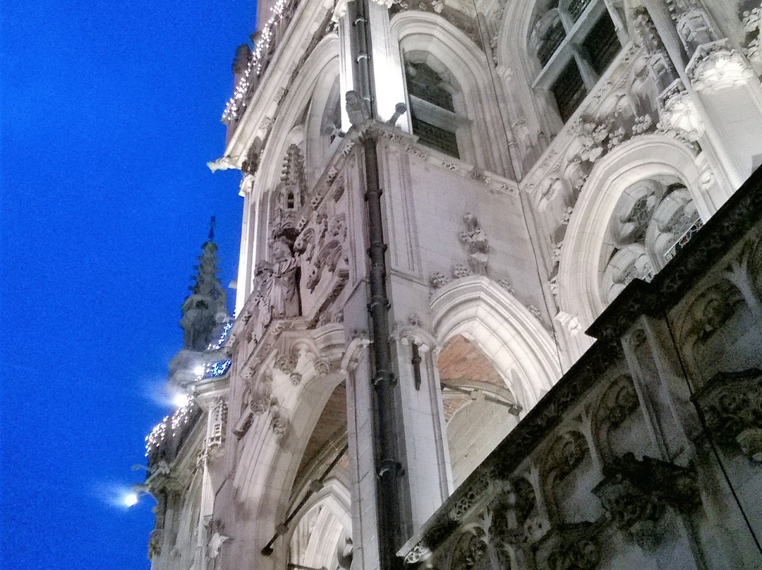 Town Hall and Belfry景点图片