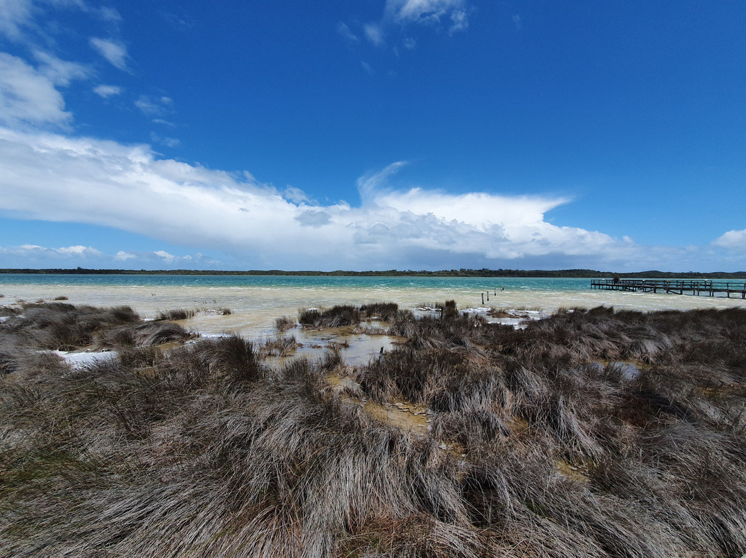 Mandurah Wine Tours景点图片