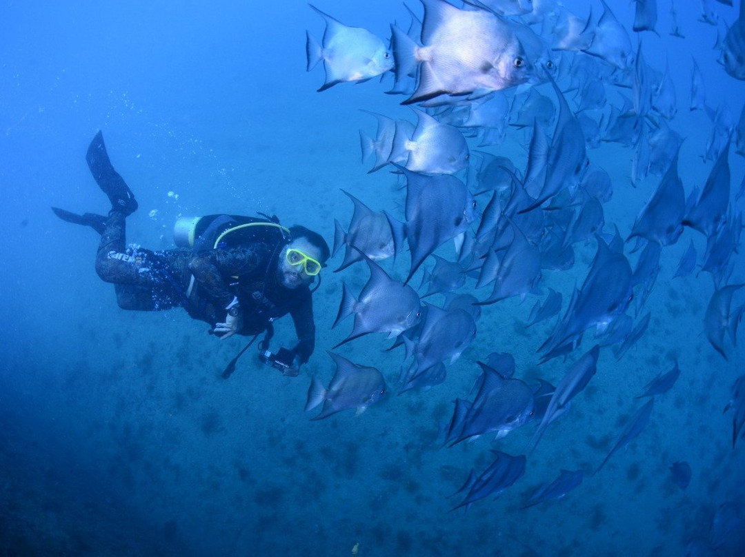 Abissal Mergulho-伊波茹卡必去景点