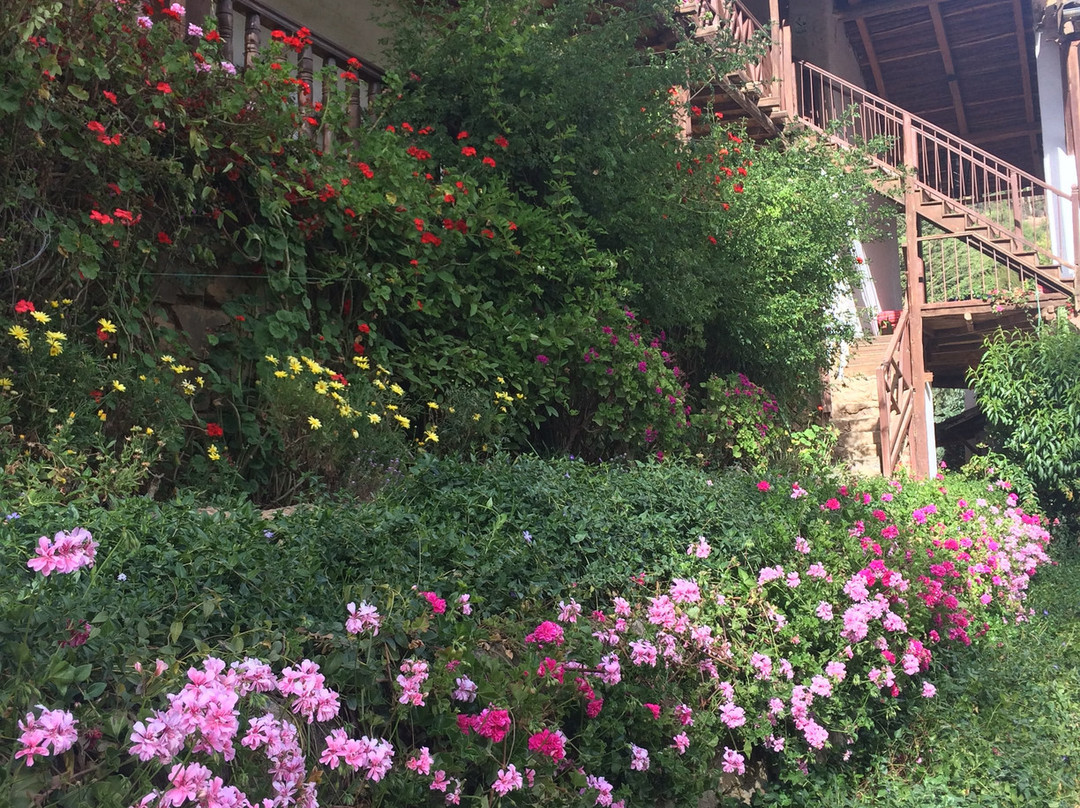 Hacienda Santa Maria - Tarma主图