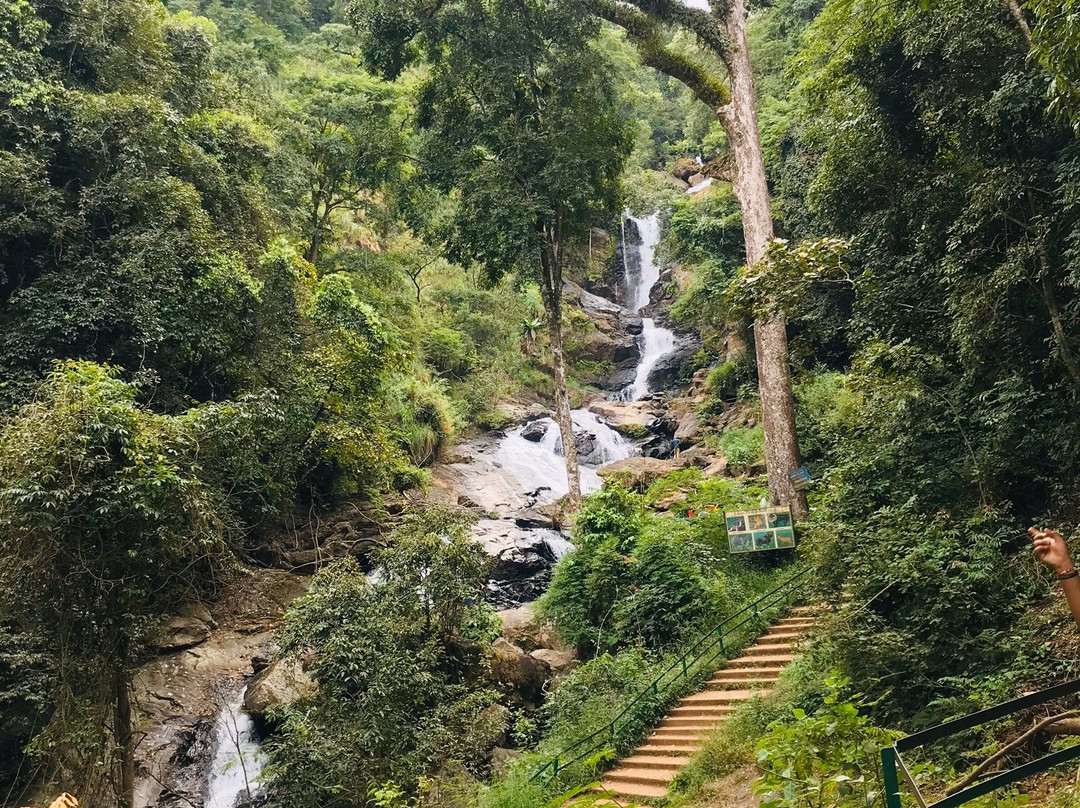 Iruppu Falls景点图片