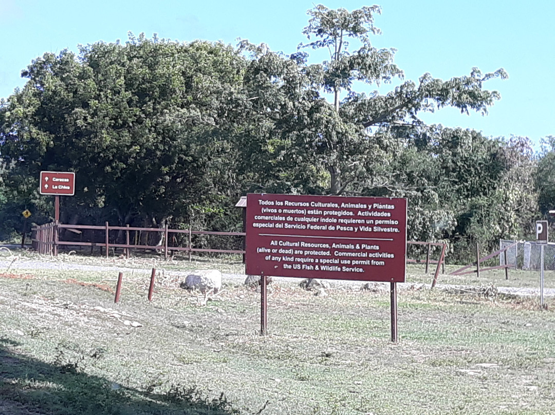 Vieques National Wildlife Refuge-维切克岛必去景点