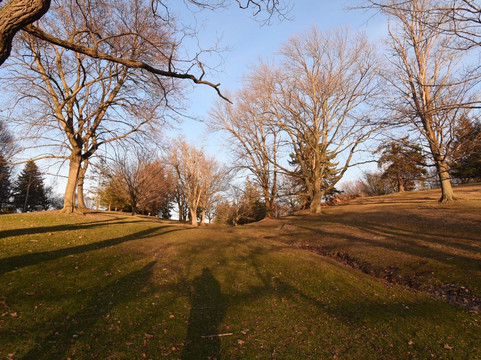 Webster Park-Webster必去景点