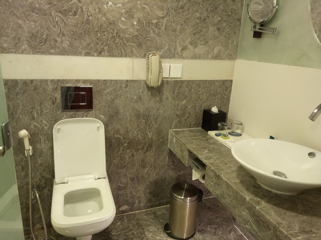 维沙卡帕特南福朋喜来登酒店主图