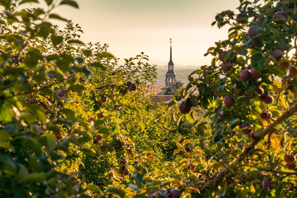 Verger Lamarche-Saint-Joseph-du-Lac必去景点