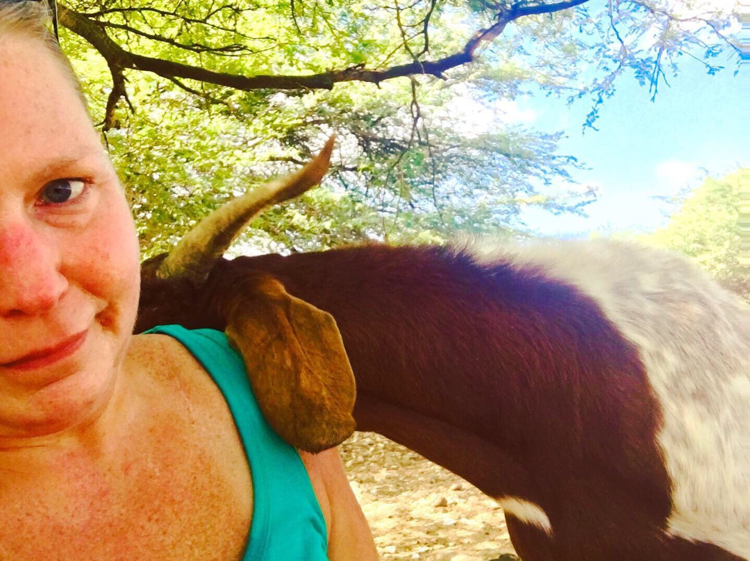 Aletta's Goat Farm (by Appointment Only)-博奈尔岛必去景点