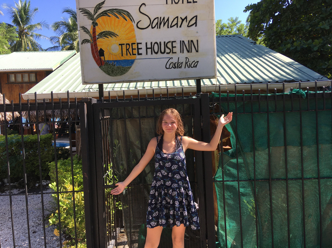 Samara Tree House Inn