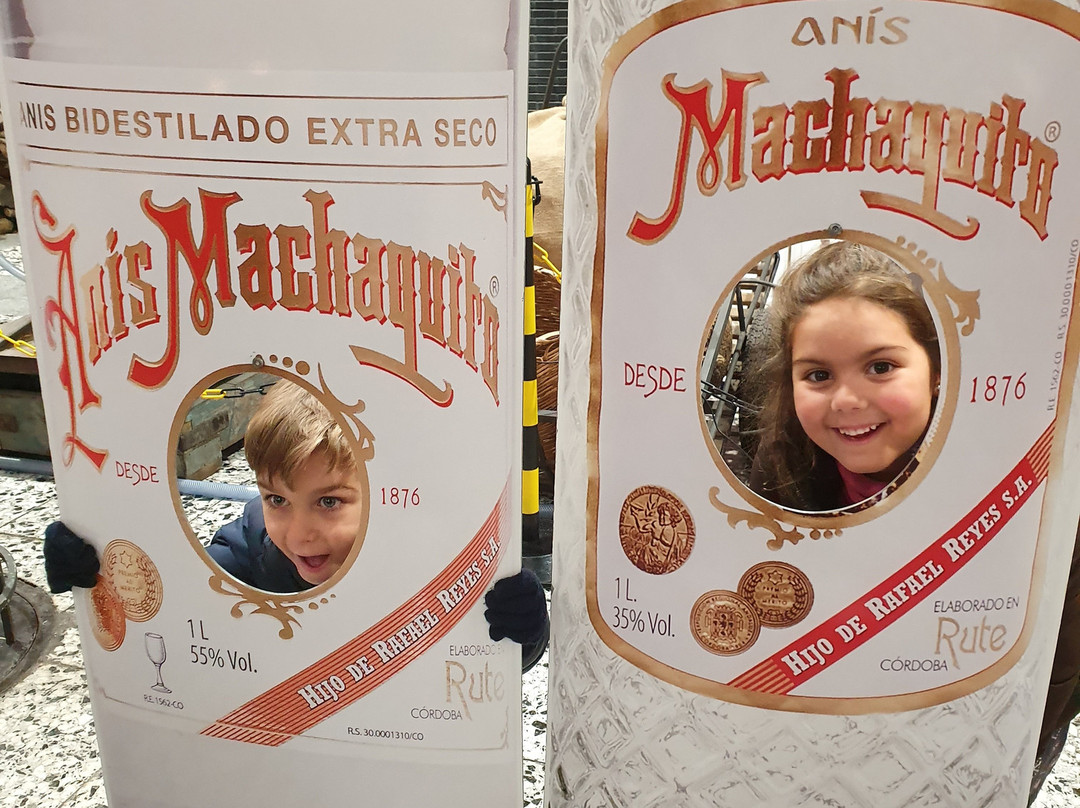 Machaquito Anis & Licores景点图片