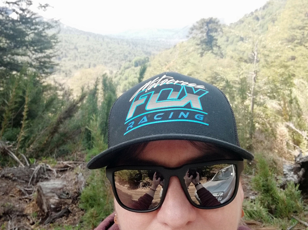 Reserva Nacional China Muerta-Araucania Region必去景点