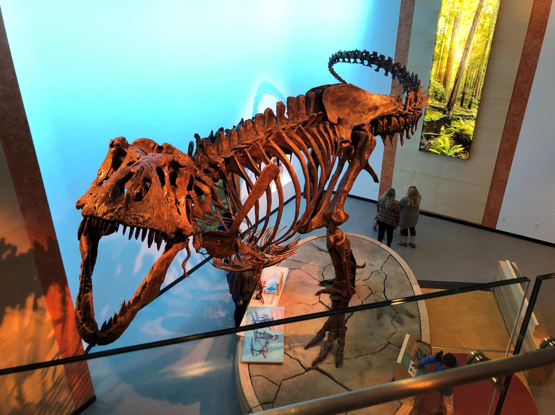 Royal Saskatchewan Museum-里贾纳必去景点