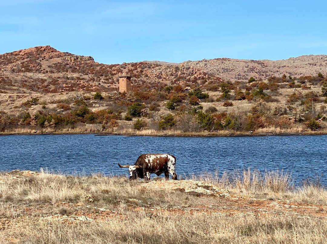 Wichita Mountains National Wildlife Refuge景点图片