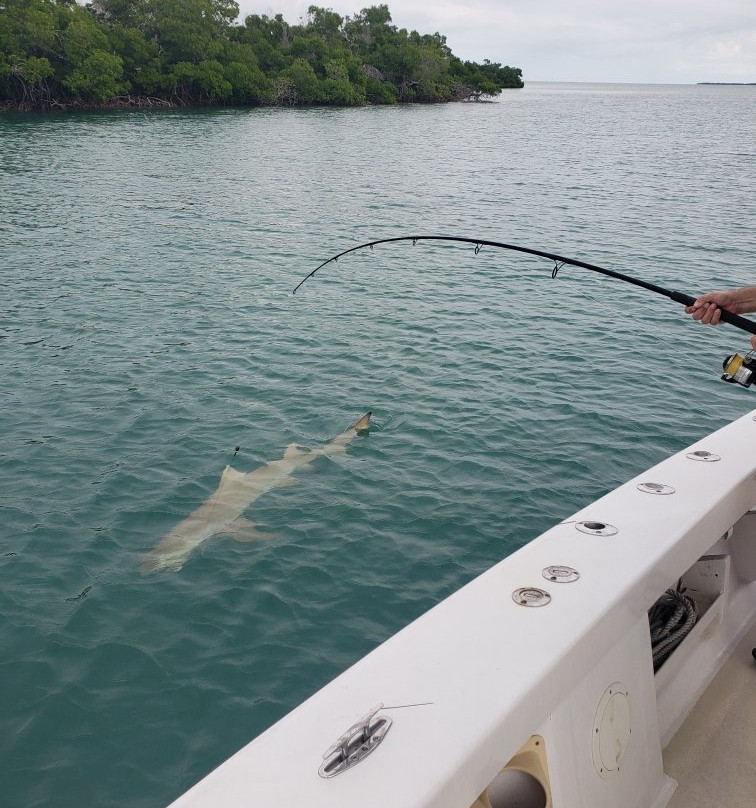 Captain Mel's Sportfishing Charters-基韦斯特必去景点