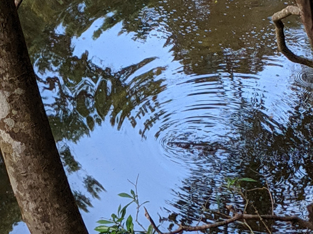 Broken River景点图片