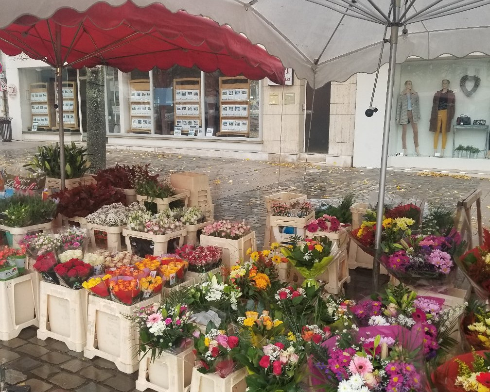 Loches Market景点图片