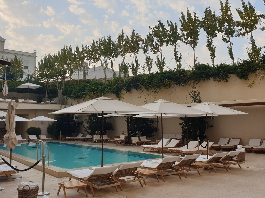 The Jaffa - Fattal Limited Edition主图