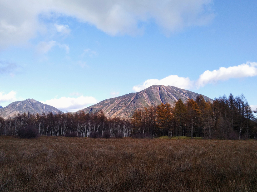 Odashirogahara Field景点图片