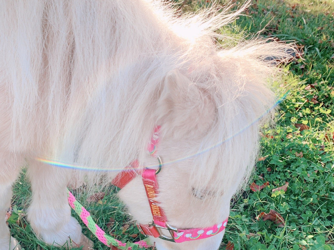 Natural Skincare Garden Nachu no Mori-白老町必去景点