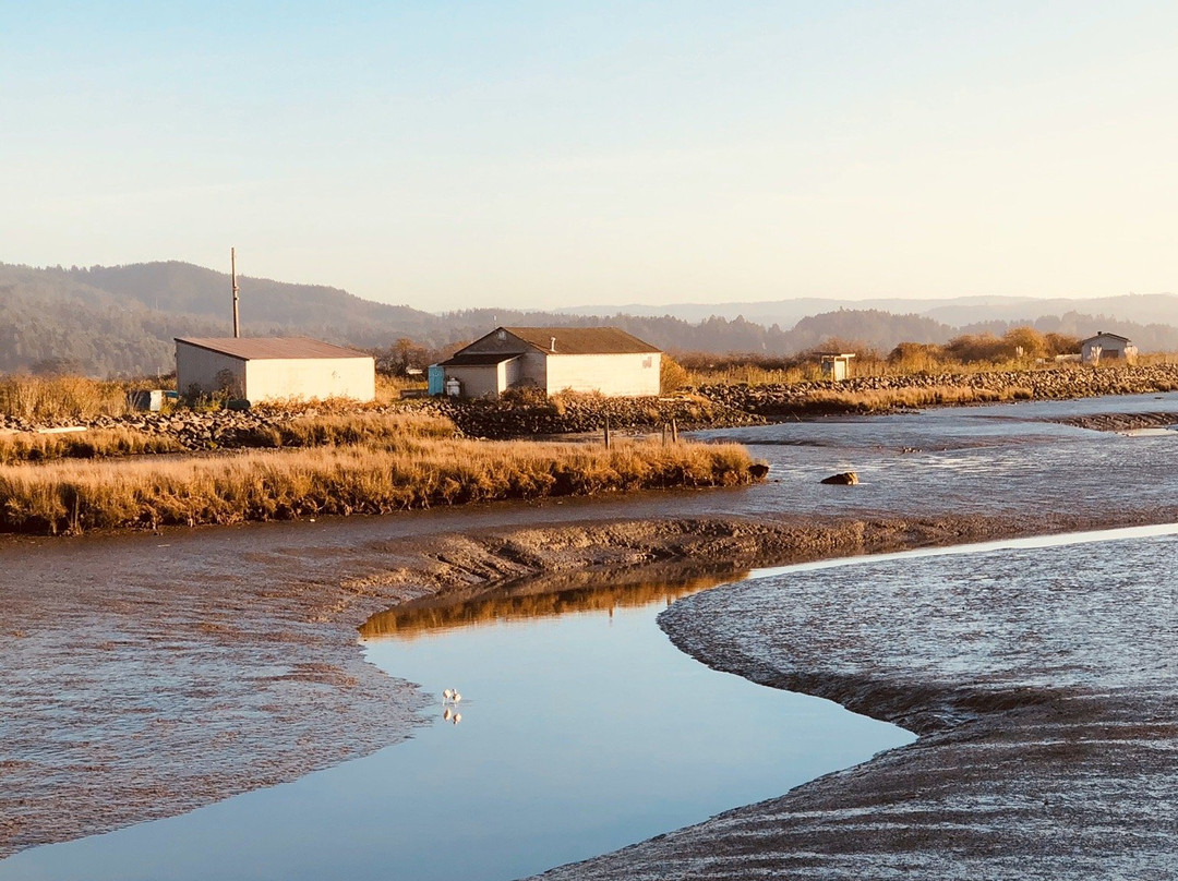 Arcata Marsh and Wildlife Sanctuary-Arcata必去景点