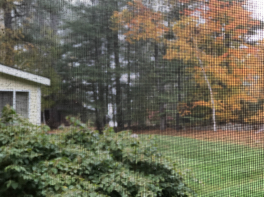 Noble House Inn主图