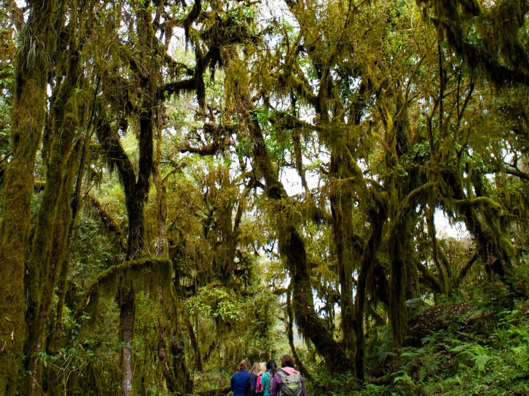 Parque Nacional Aconquija-Alpachiri必去景点