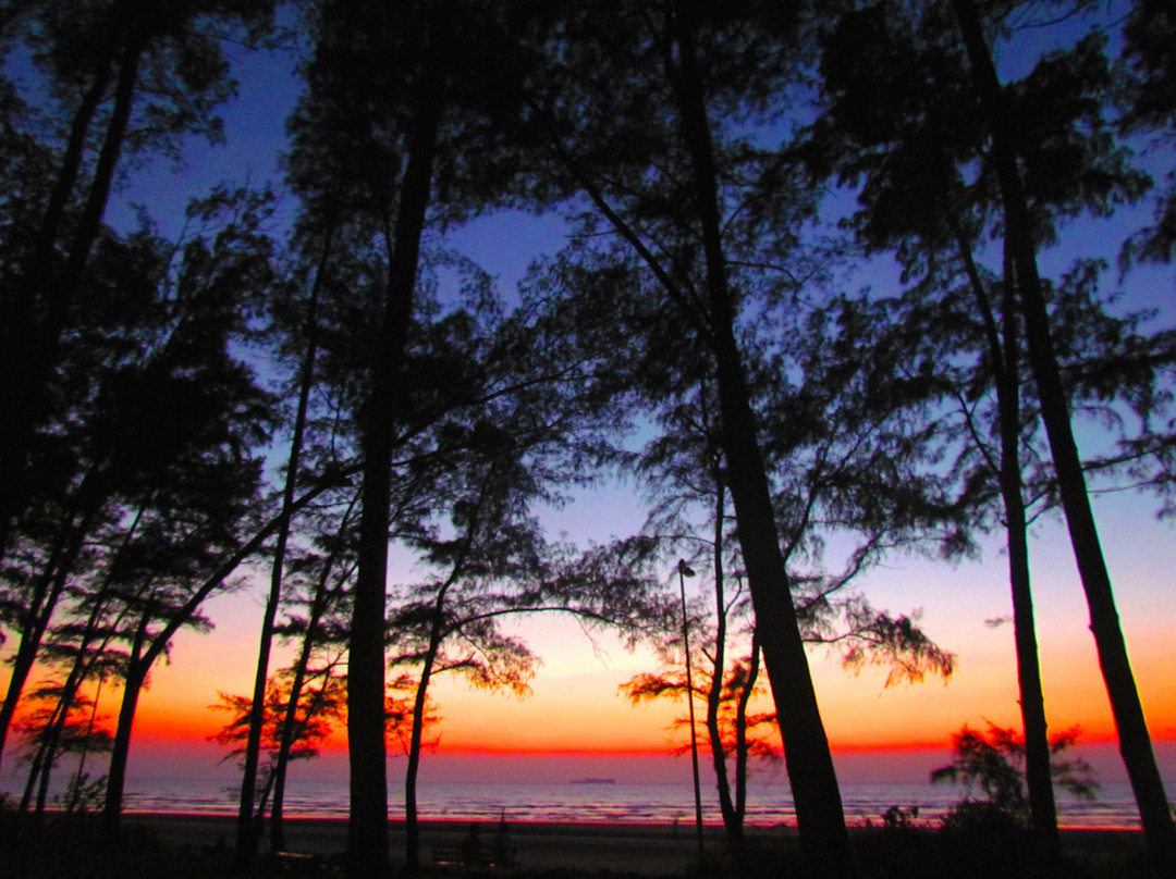 Golden Swan Beach Resort主图