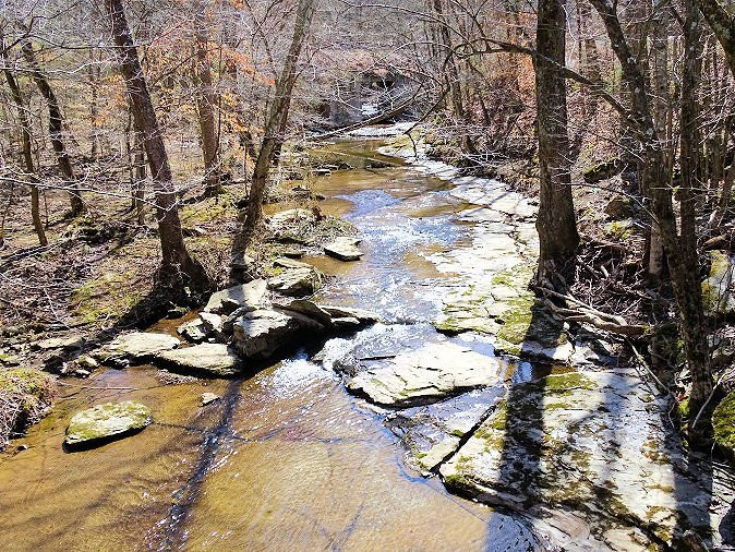 Beaman Park Nature Center景点图片
