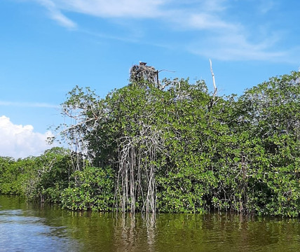 iTour-图伦必去景点