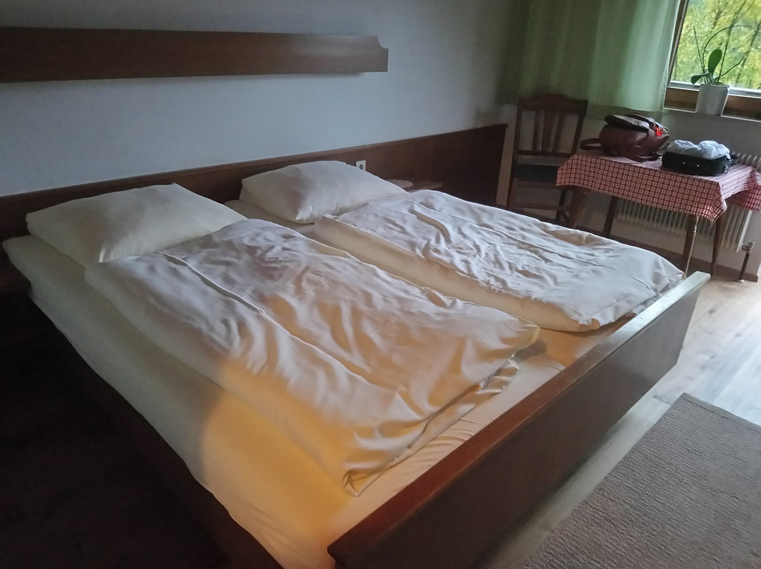 Gasthof Mühle主图