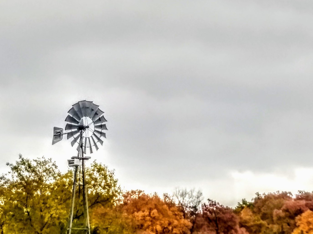 Long Family Orchard & Farm-Commerce Township必去景点