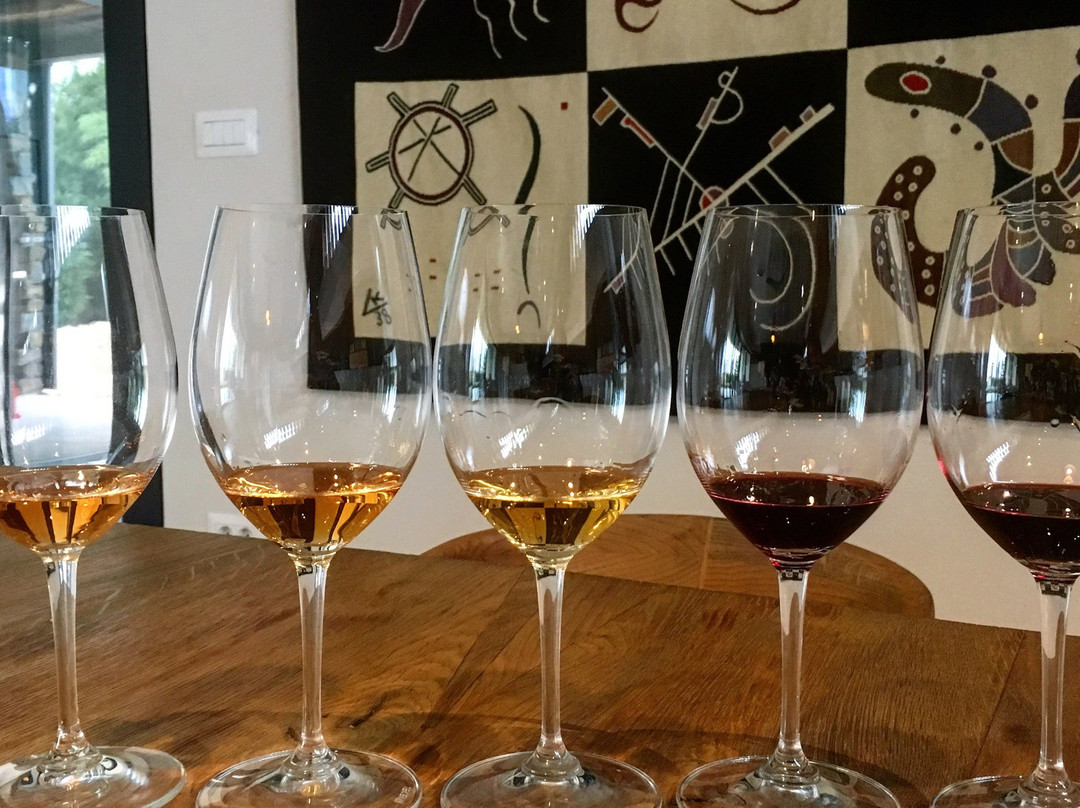 Istria Wine Tours-罗维尼必去景点