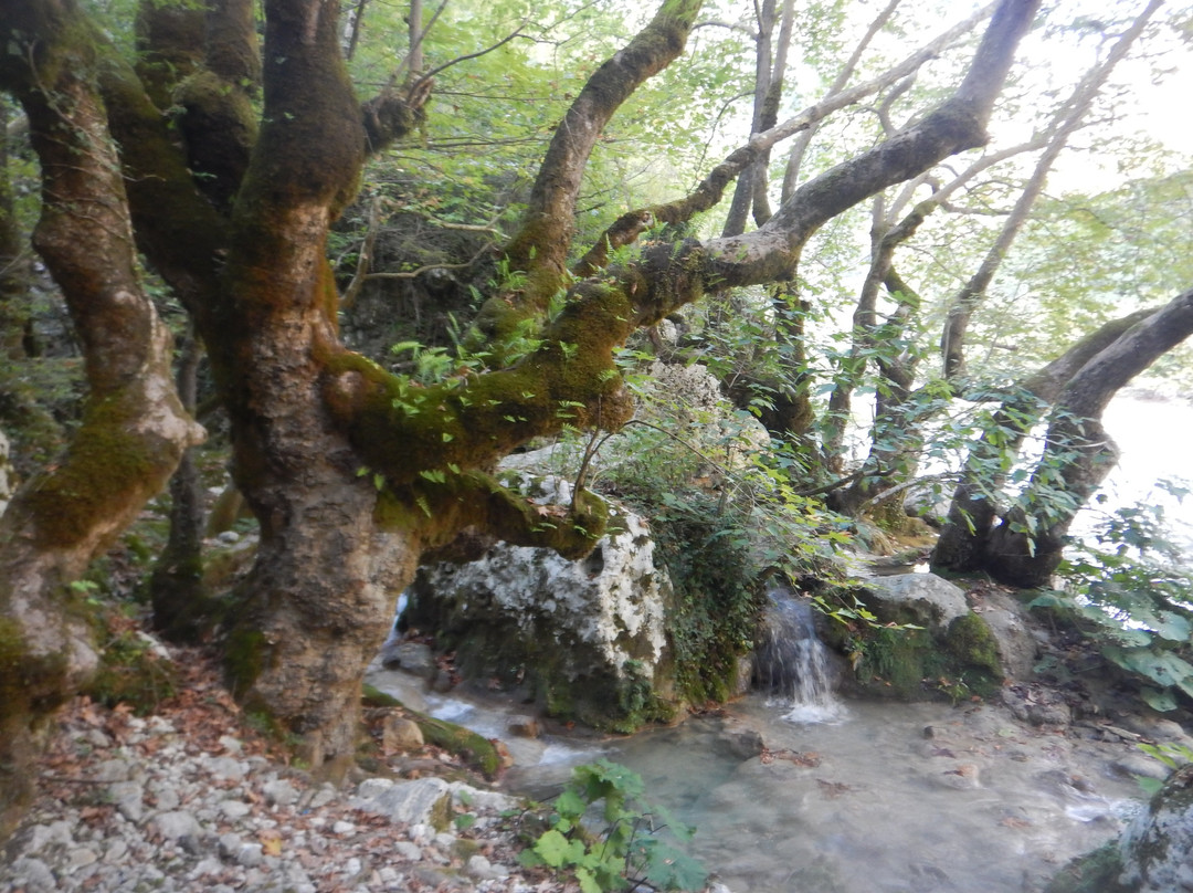 Active Nature-约阿尼纳州必去景点