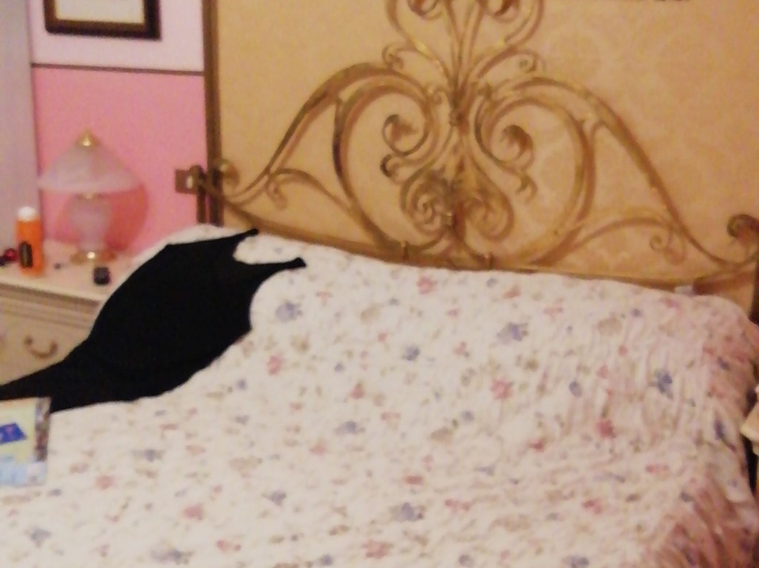 Bed & Breakfast Il Giardino delle Farfalle主图