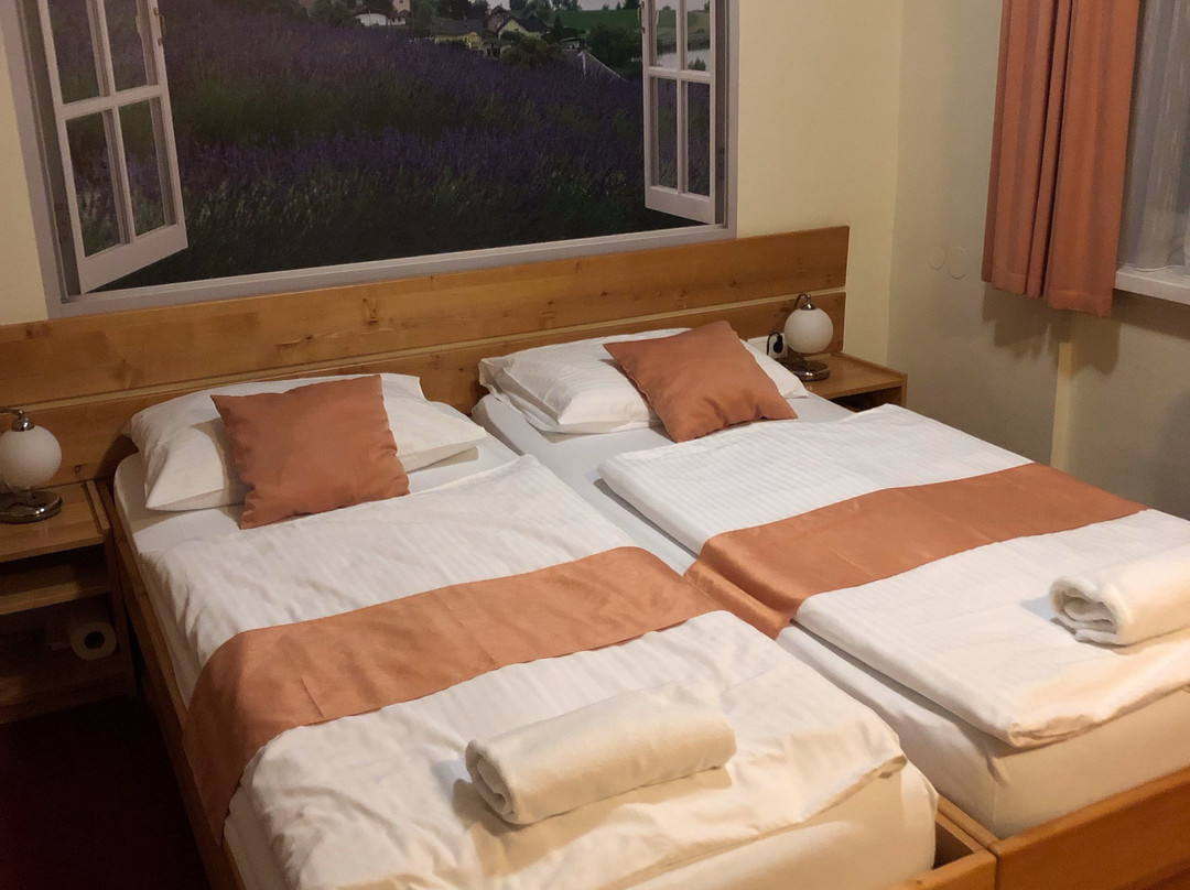 Hotel Tabor Maribor主图