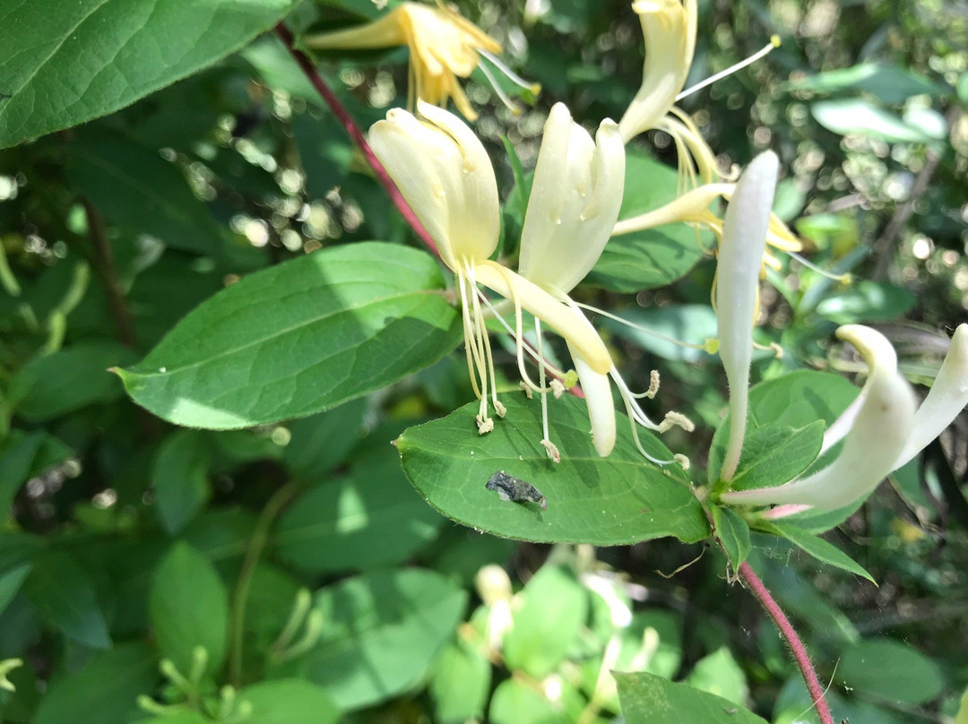 Delta Terra-蒂格雷必去景点