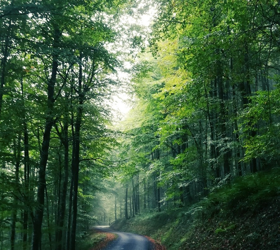 贝萨洛乡村酒店主图