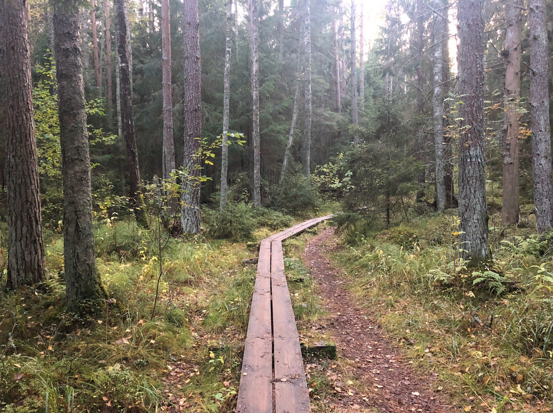 Majakivi-Pikanomme Trail-Virve必去景点