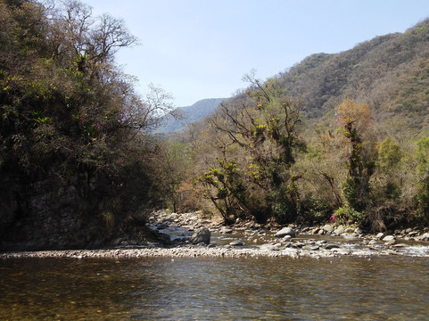 Parque Nacional Baritú-萨尔塔必去景点