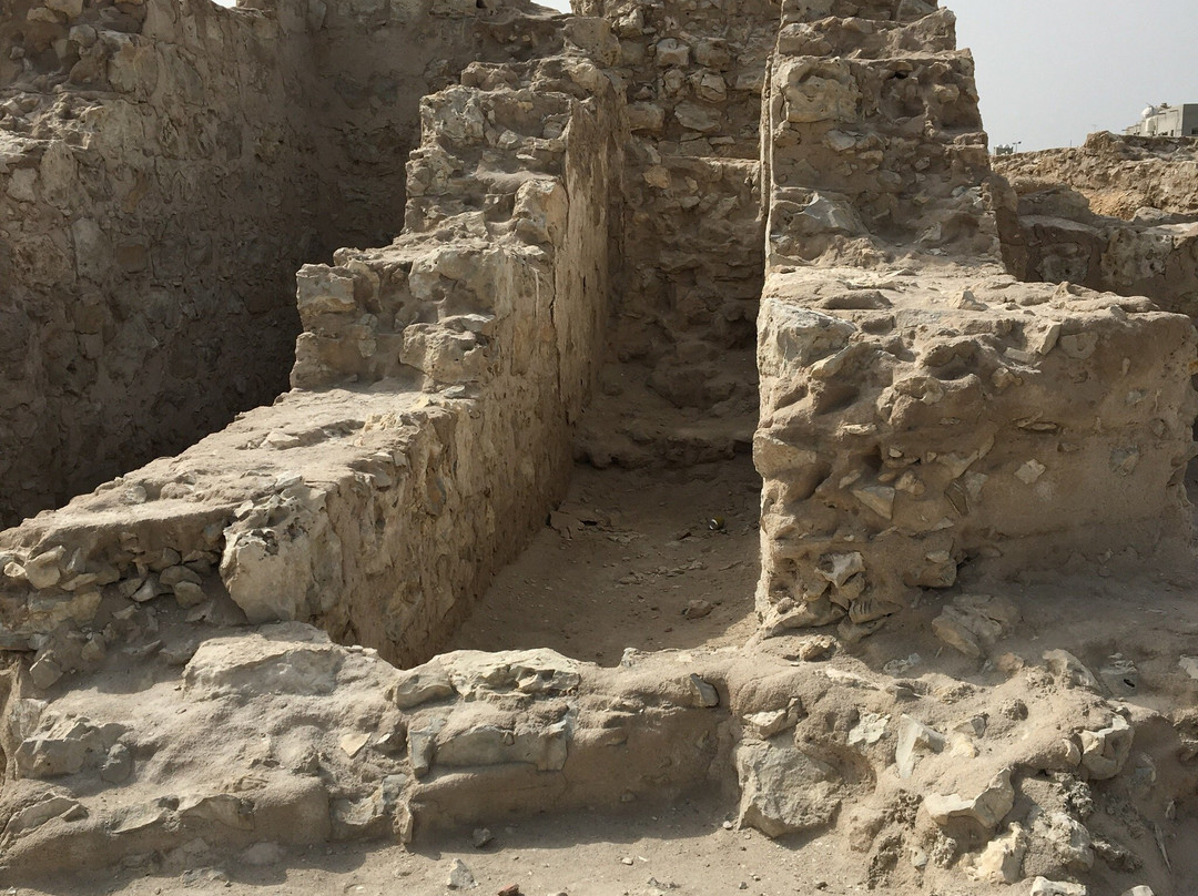 Sanad旅游景点-Dilmun Burial Mounds