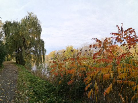 Angrignon Park-蒙特利尔必去景点