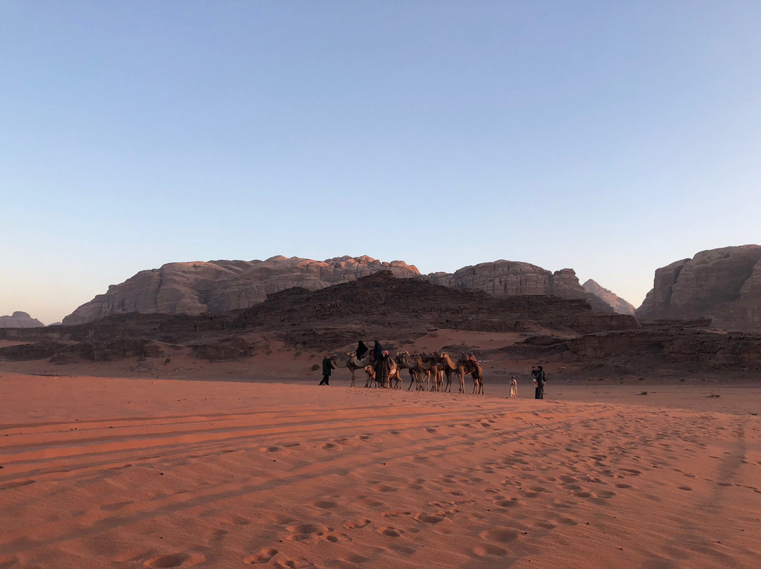 Enjoy Jordan Travel & Tourism