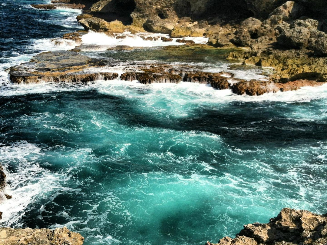 Carson's Taxi & Tour Service-基督城必去景点