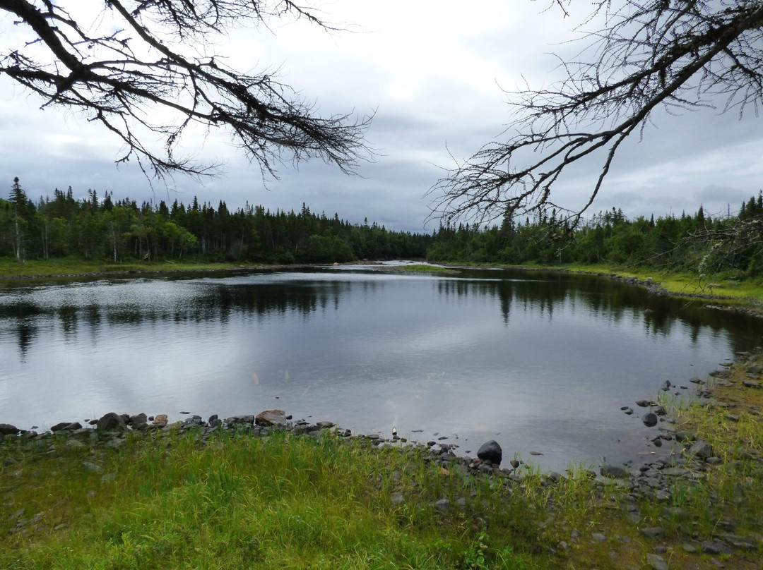 Torrent River Salmon Interpretation Centre and Fishway-Hawke's Bay必去景点