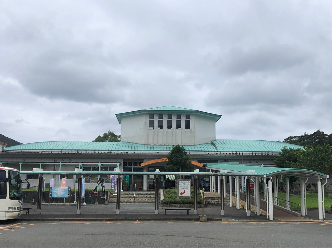 Kuroshio no Mori Mangrove Park景点图片