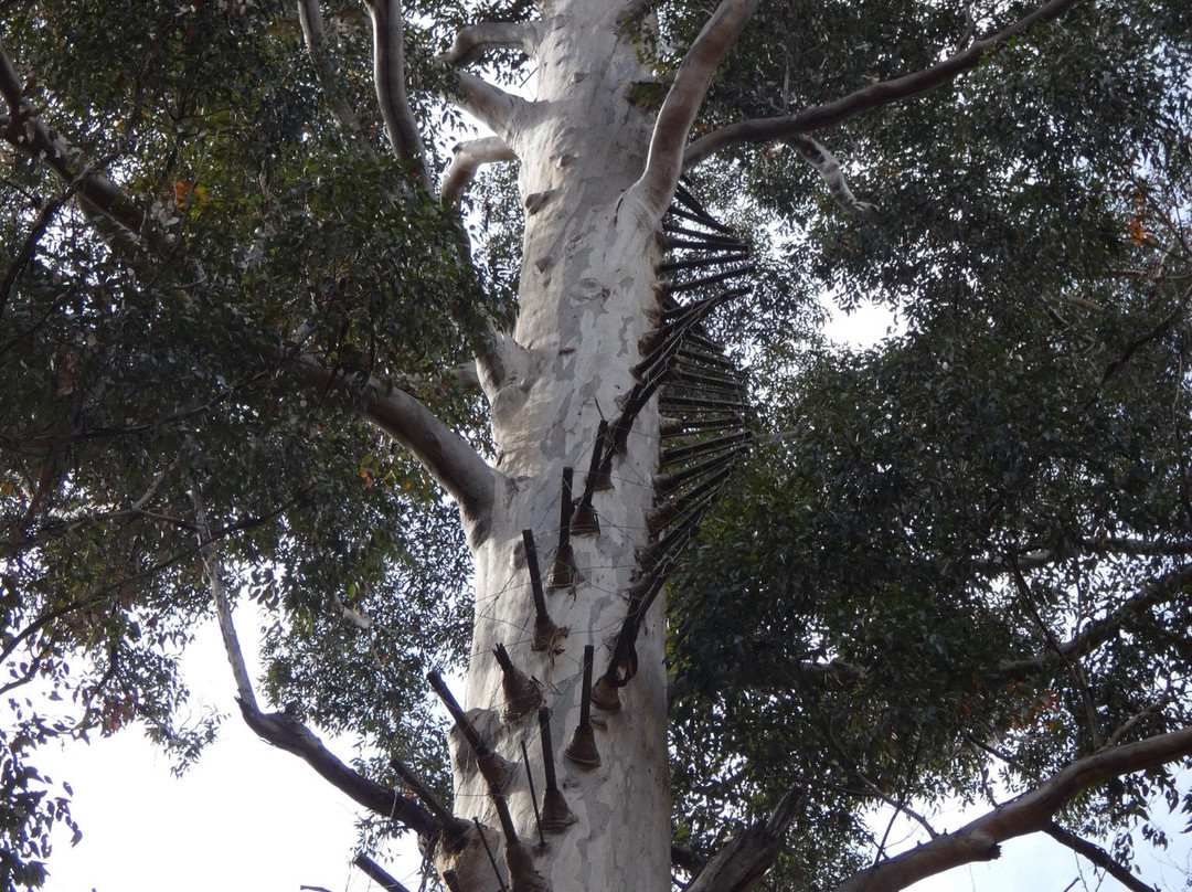 Boorara Gardner National Park-Northcliffe必去景点
