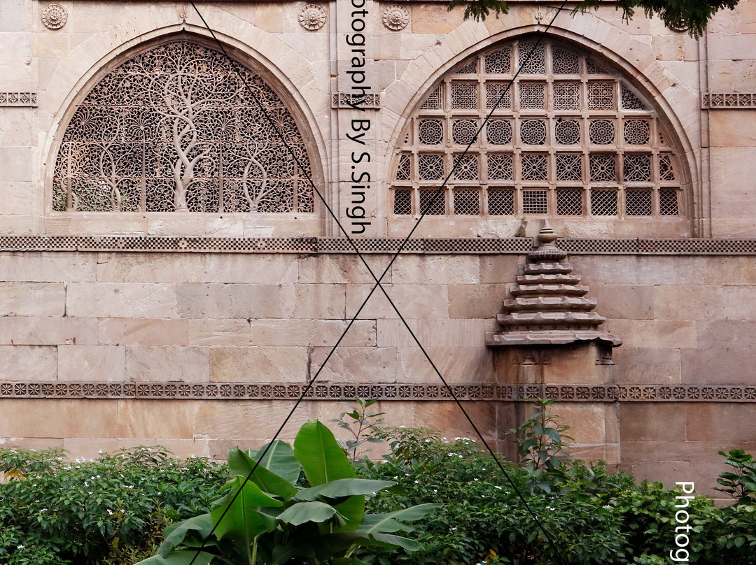 Sidi Saiyyed Mosque景点图片
