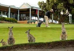 Anglesea Golf Club-安格尔西岛必去景点