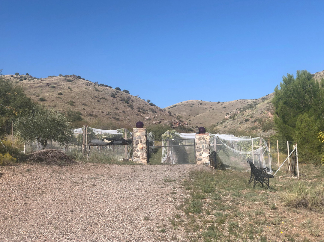 Mescal Canyon Retreat at Candlewood主图