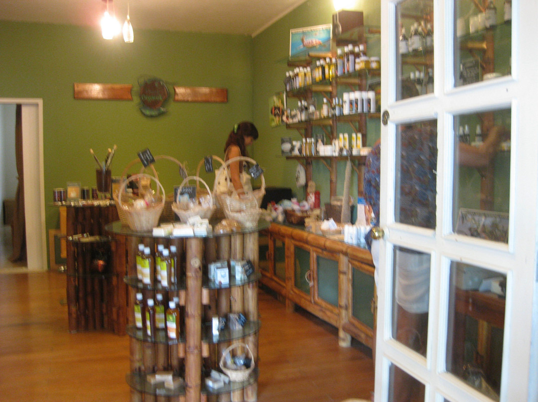 Xpu-Ha旅游景点-Think Organik Mobile SPA