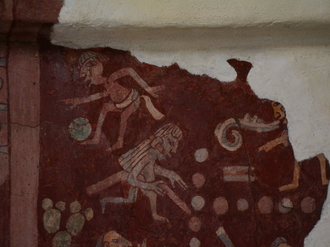 Museo De Los Murales Teotihuacanos - Beatriz de La Fuente景点图片