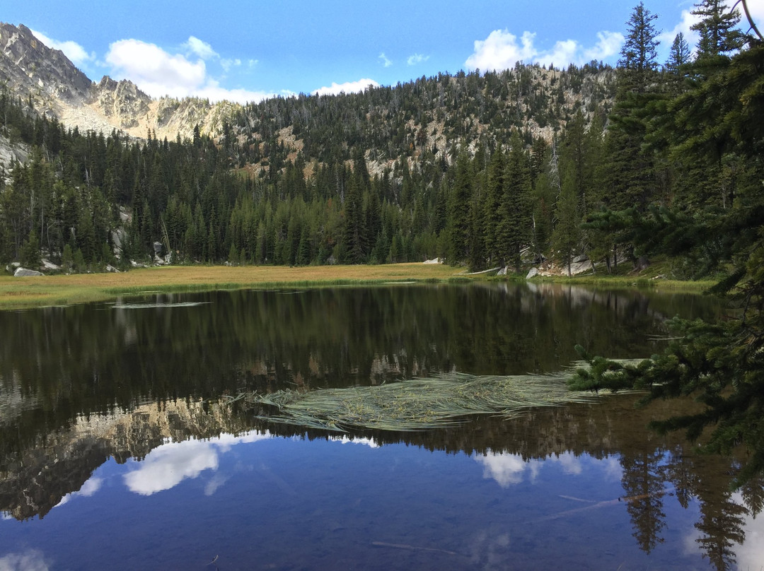 Haines旅游攻略图片